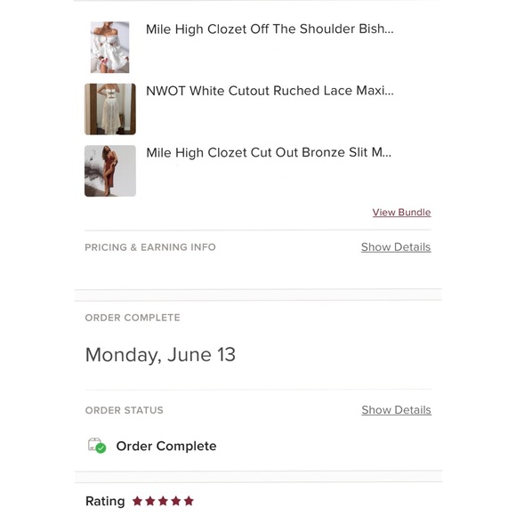 Vienna Cut Out Bronze Slit Maxi Semi Sheer - Picture 13 of 15